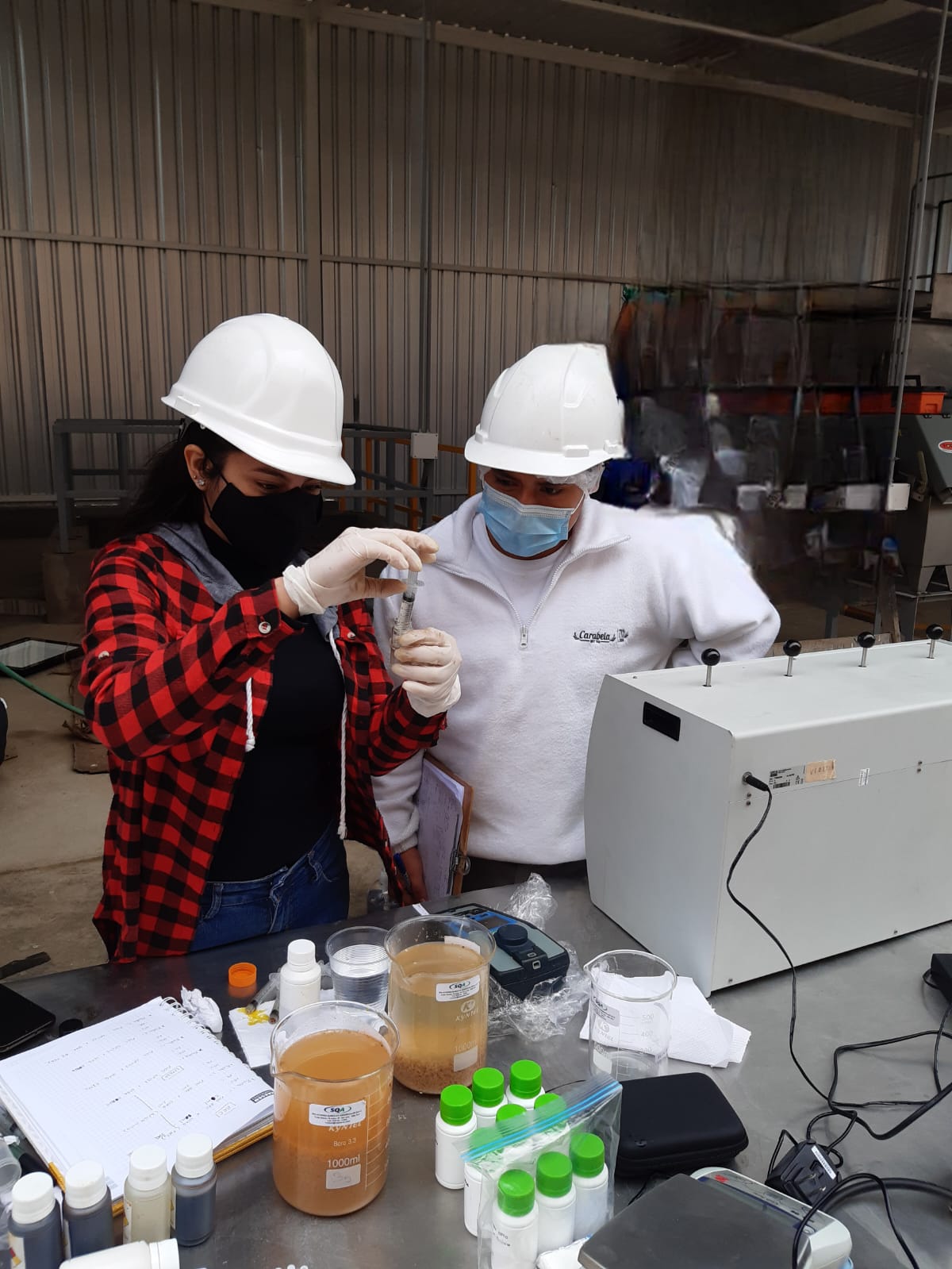 whatsapp image 2026 02 07 at 9.02.41 pm